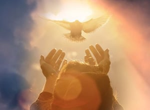 Holy Spirit Immersion